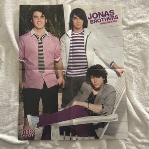 Jonas Brothers and Demi Lovato double sided Tiger Beat magazine poster 🎶